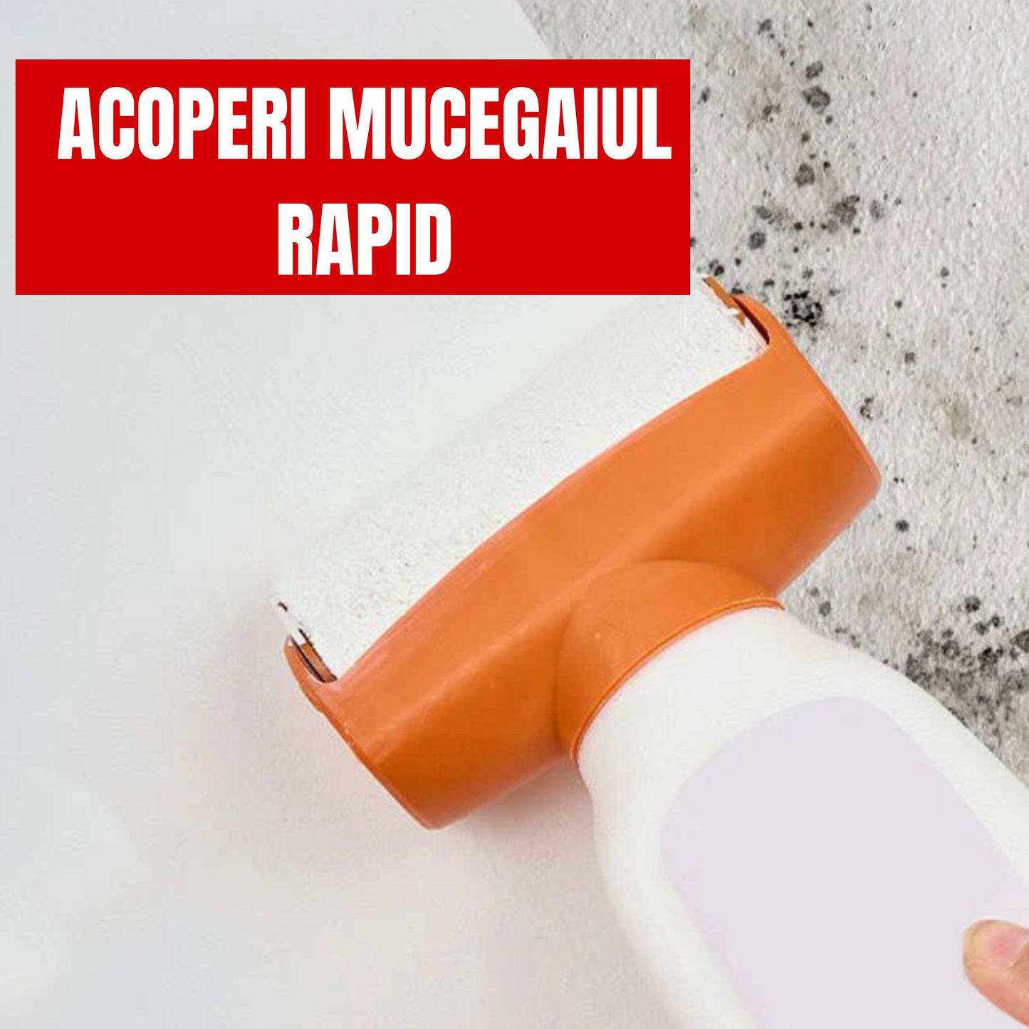 WALL FIX - Kit complet de reparat pereții
